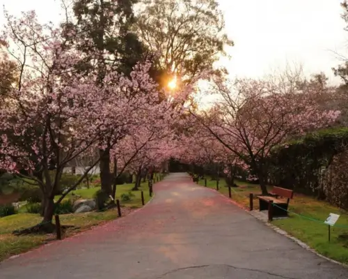 jardin japones- Argentina Hot Spots